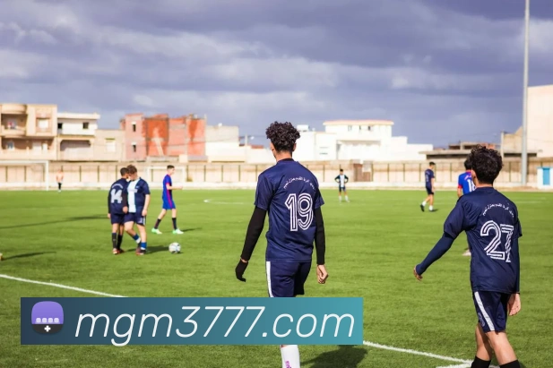 美高梅官网平台生态图